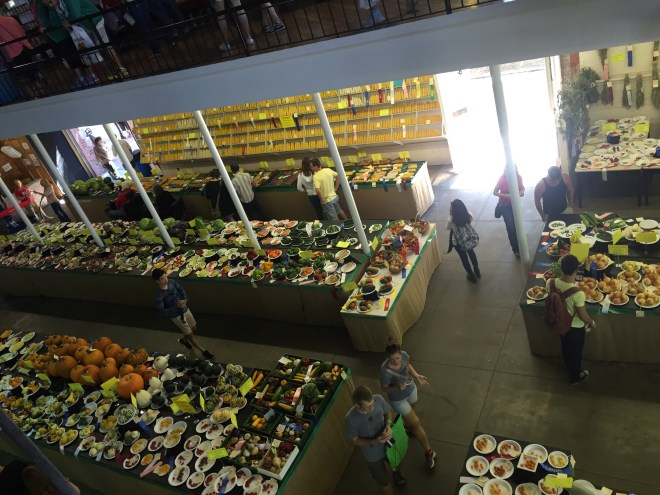 20150823_165242852_iOS