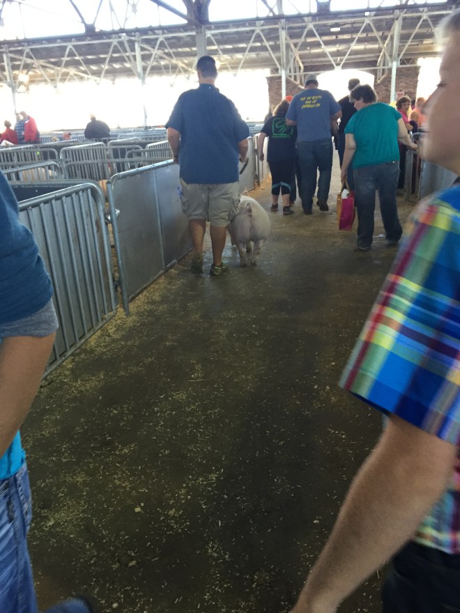 20150823_173805962_iOS