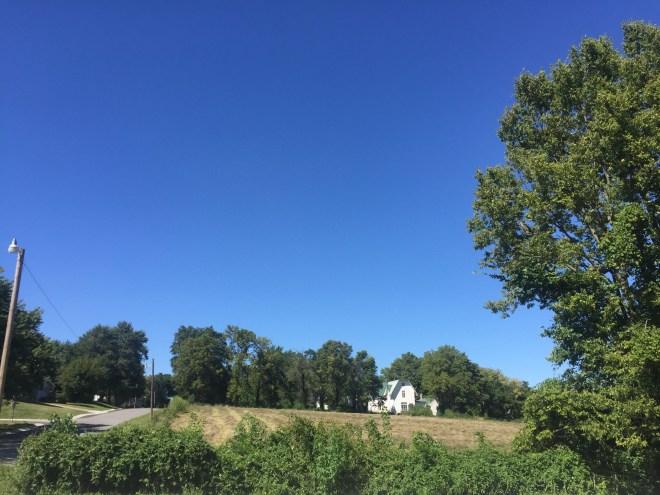 20150825_202033674_iOS