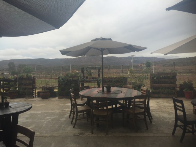 winery view