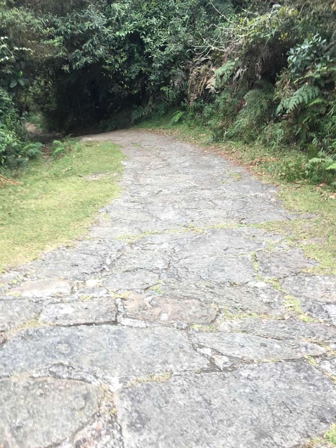 Chicaque concrete driveway